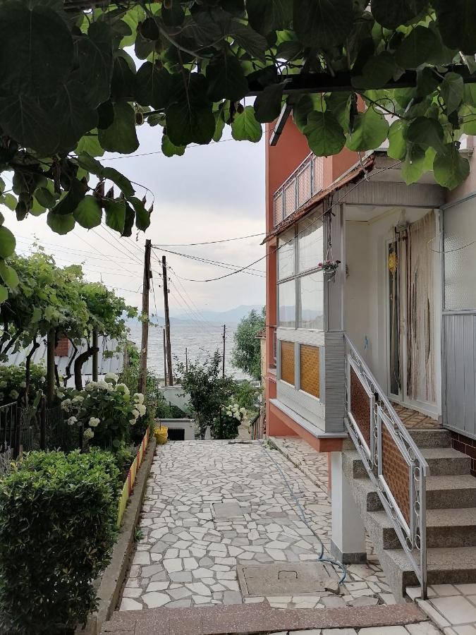 Villa Shine Struga Exterior foto